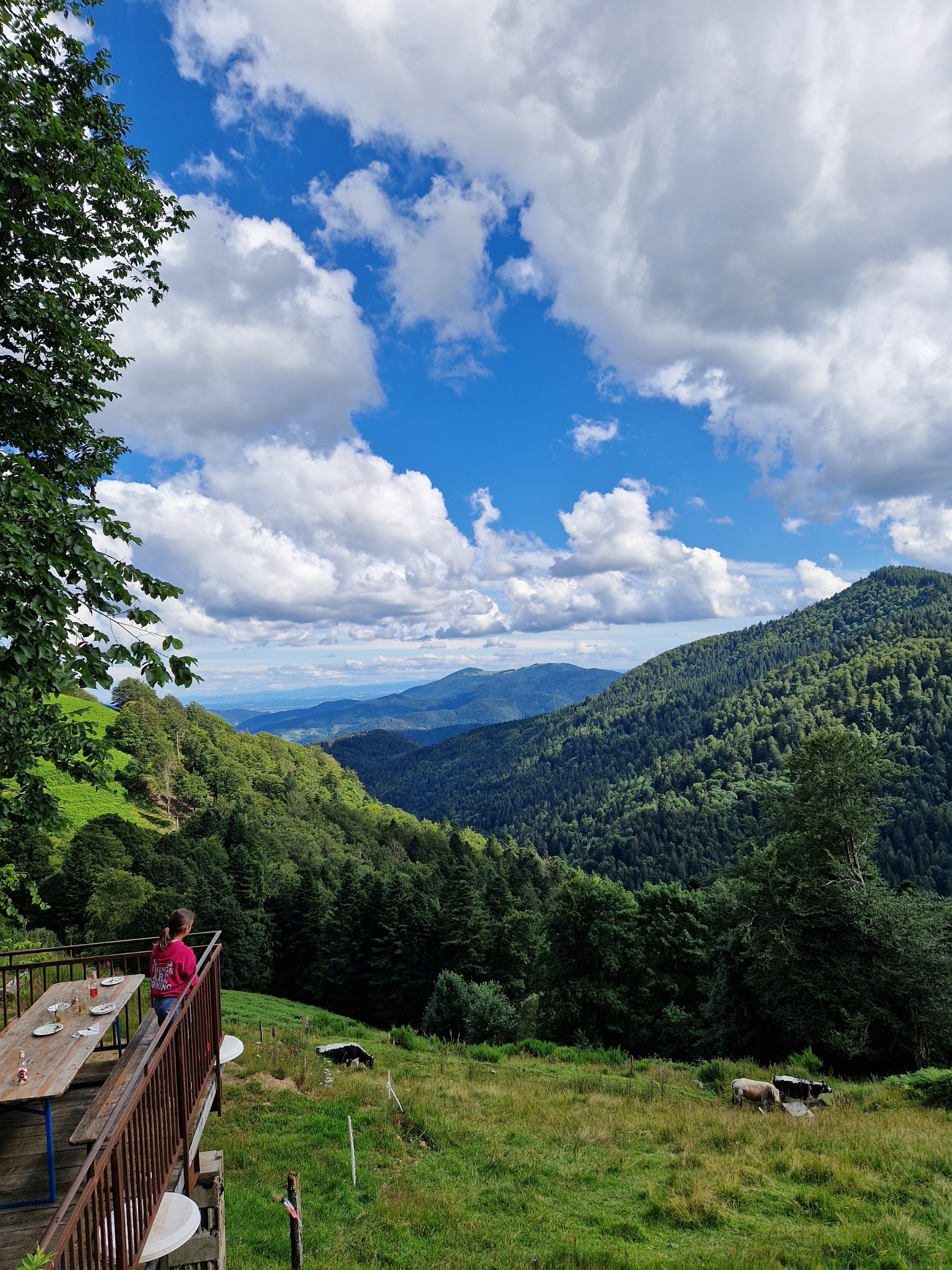 Ferme Auberge Felsach